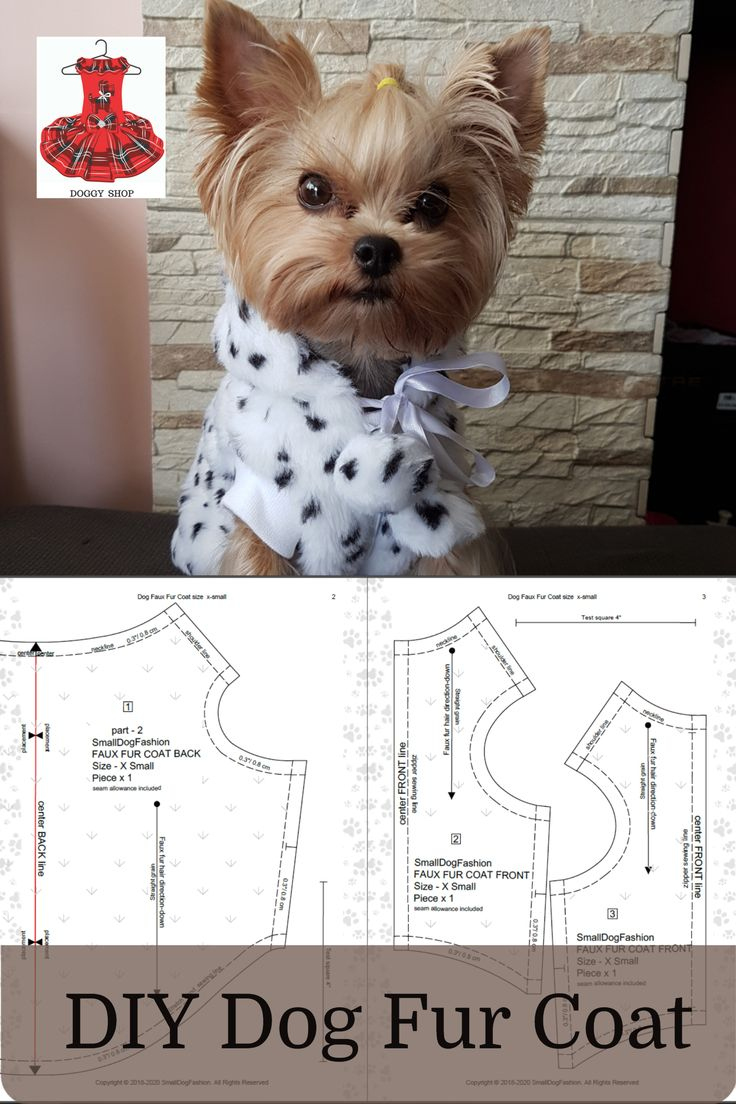 Beginner Template Dog Coat Sewing Patterns Free Printable Hoodie within Dog Clothing Patterns Free Printable