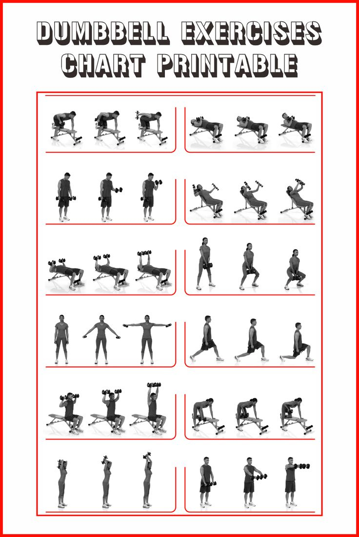 Dumbbell Exercises Chart - 10 Free Pdf Printables | Printablee for Dumbbell Exercises Chart Free Printable