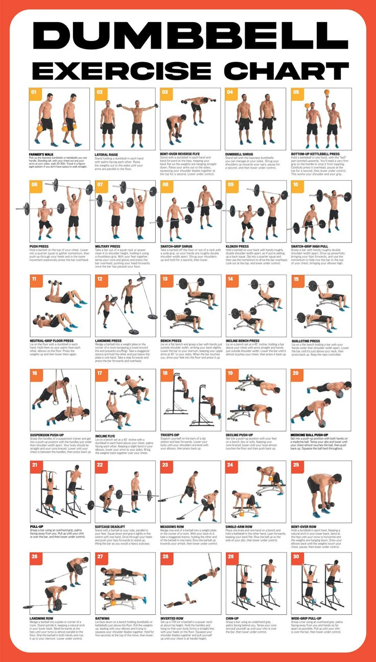 Dumbbell Workout Poster - 10 Free Pdf Printables | Printablee with Dumbbell Exercises Chart Free Printable