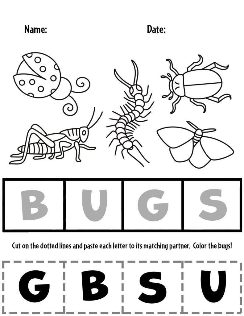 Free And Fun Bug Activities For Preschool! ⋆ The Hollydog Blog for Printable Insect Activities For Preschoolers