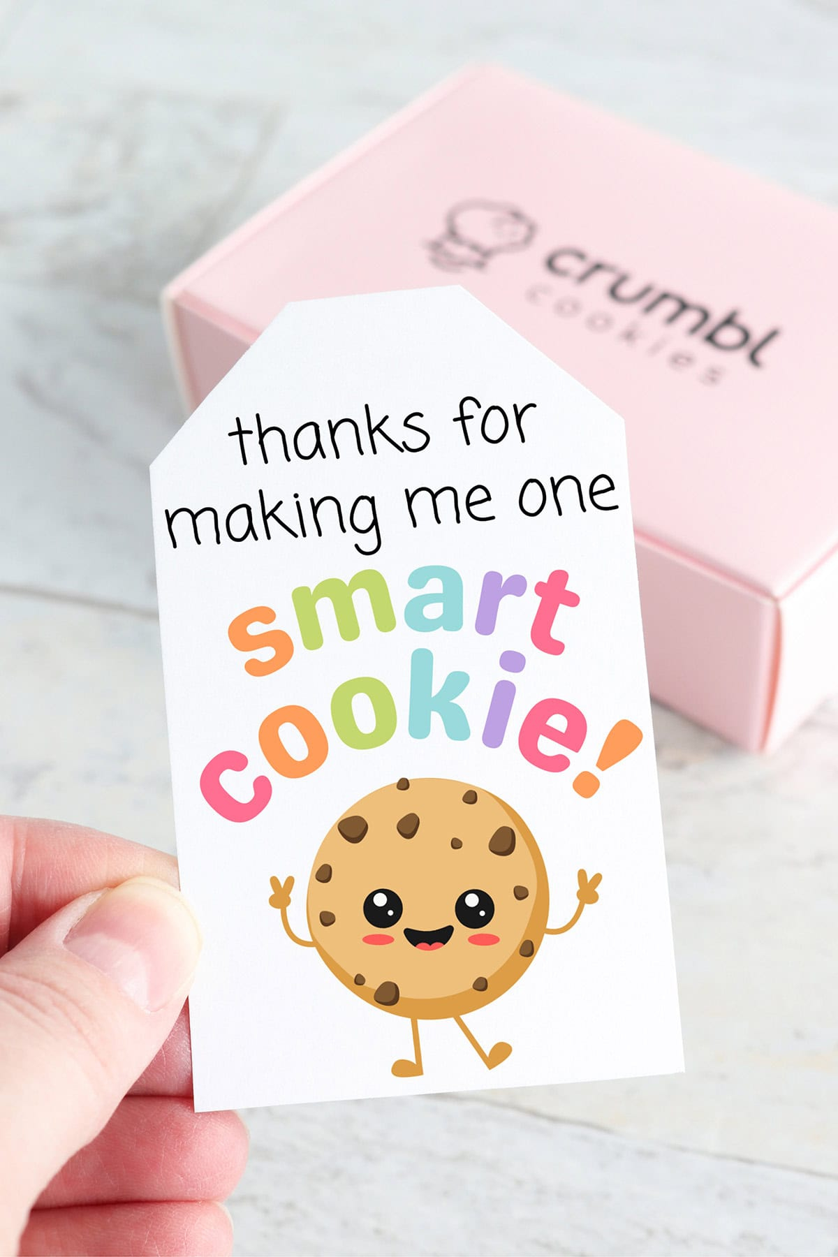 Free Printable Teacher Appreciation Gift Tags - Aubree Originals regarding Thanks For Making Me One Smart Cookie Free Printable