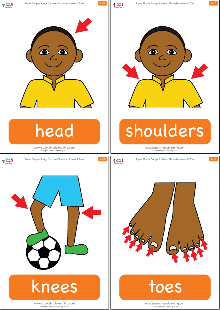 Head Shoulders Knees & Toes Flashcards - Super Simple with regard to Printable Head Shoulders Knees And Toes