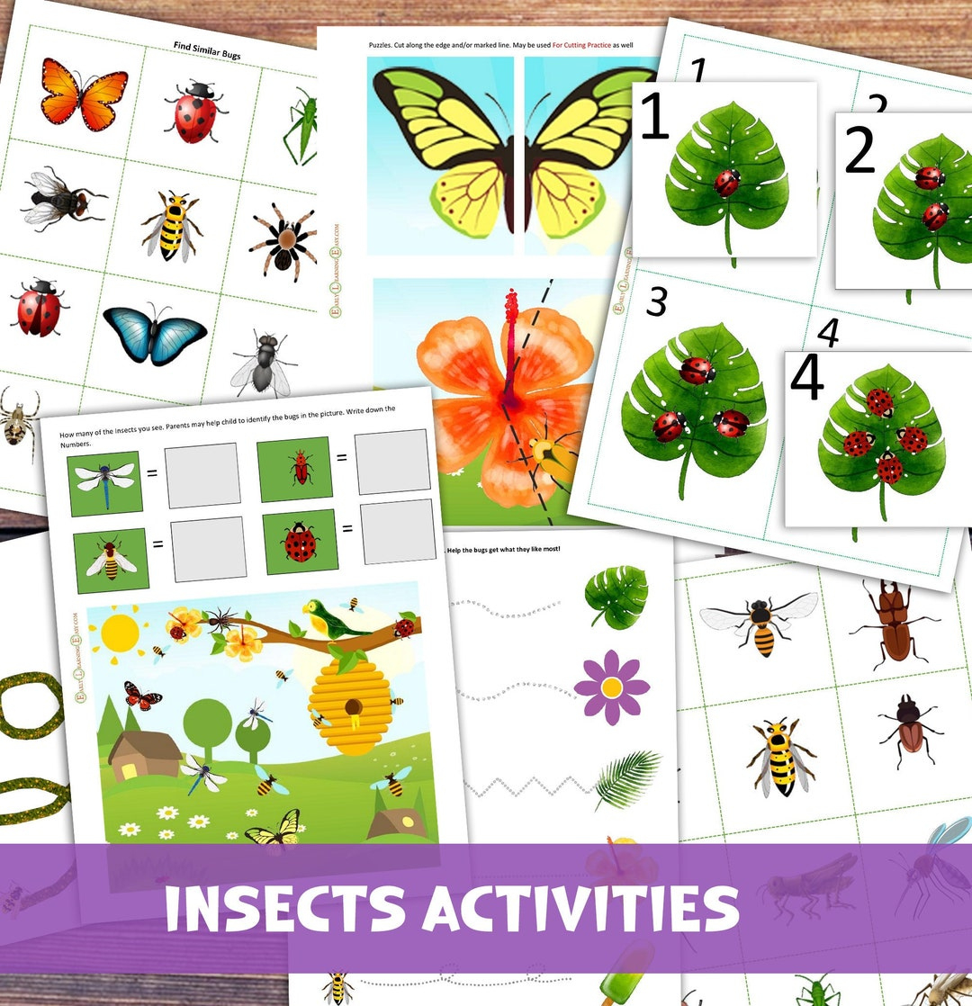 Insects Printable Preschool Worksheets, Nature Learning (Pdf) - Etsy regarding Printable Insect Activities For Preschoolers