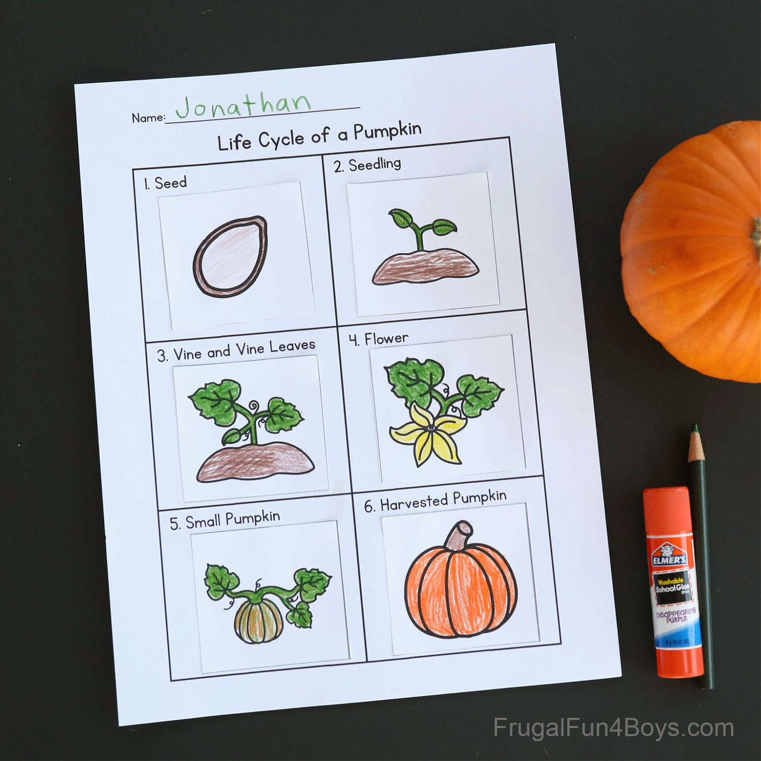 Pumpkin Life Cycle Activity {Printable} - Frugal Fun For Boys And regarding Printable Life Cycle of a Pumpkin