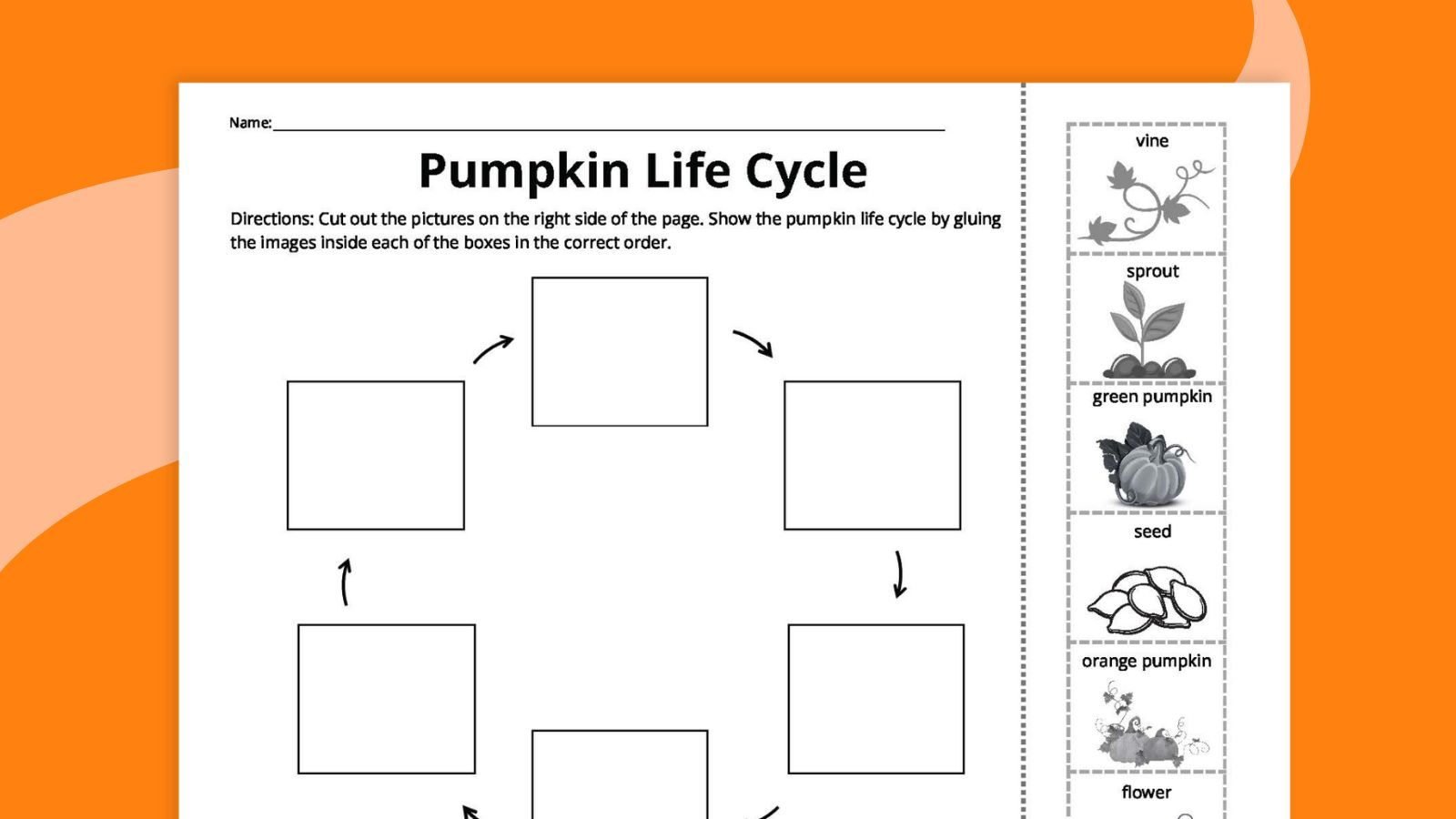 Pumpkin Life Cycle Worksheets For Kids (Free Printables) inside Printable Life Cycle Of A Pumpkin